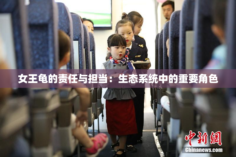 女王龟的责任与担当：生态系统中的重要角色