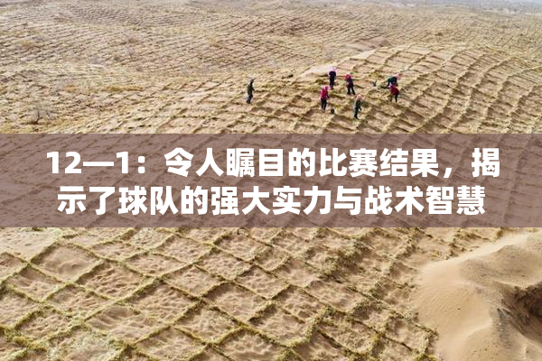 12—1：令人瞩目的比赛结果，揭示了球队的强大实力与战术智慧