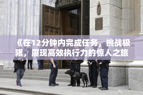 《在12分钟内完成任务，挑战极限，展现高效执行力的惊人之旅》