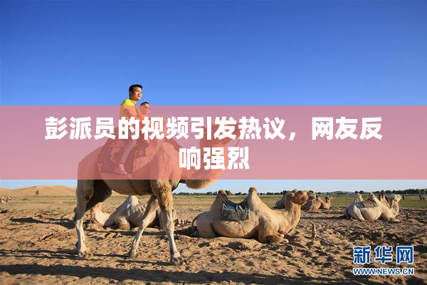 彭派员的视频引发热议，网友反响强烈