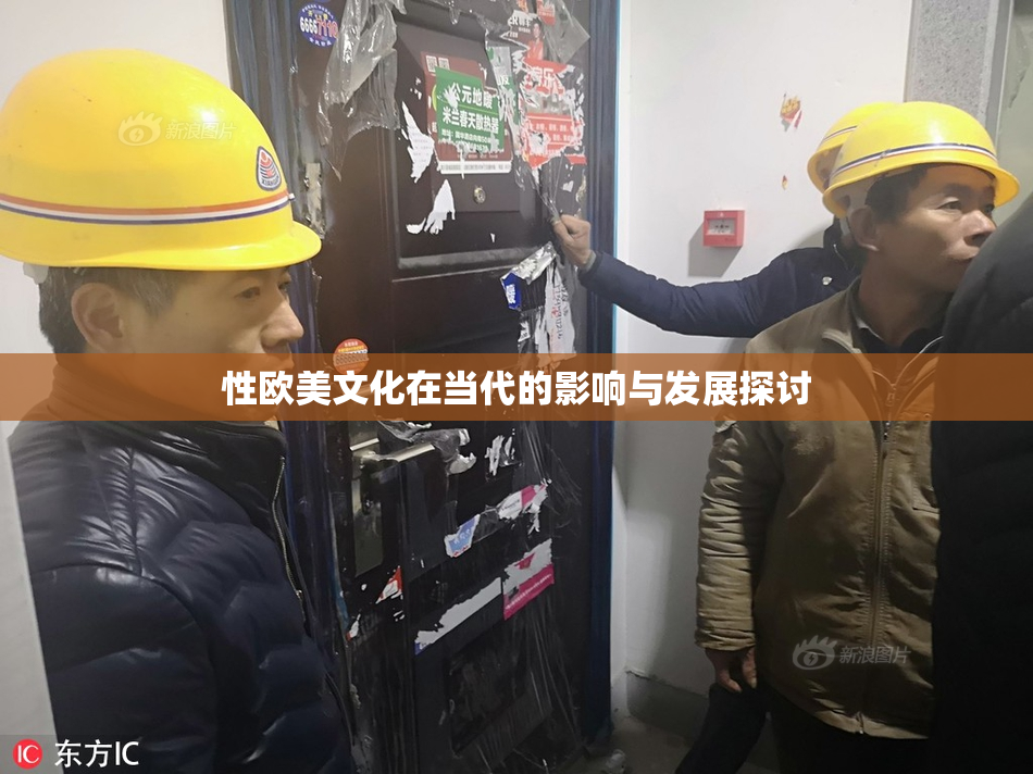性欧美文化在当代的影响与发展探讨