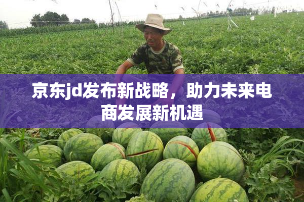 京东jd发布新战略，助力未来电商发展新机遇