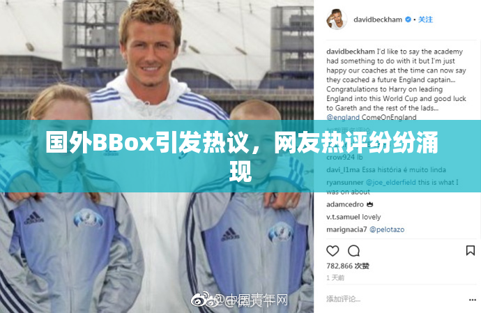 国外BBox引发热议，网友热评纷纷涌现