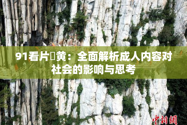 91看片婬黄：全面解析成人内容对社会的影响与思考