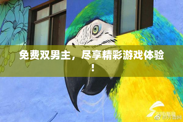 免费双男主，尽享精彩游戏体验！