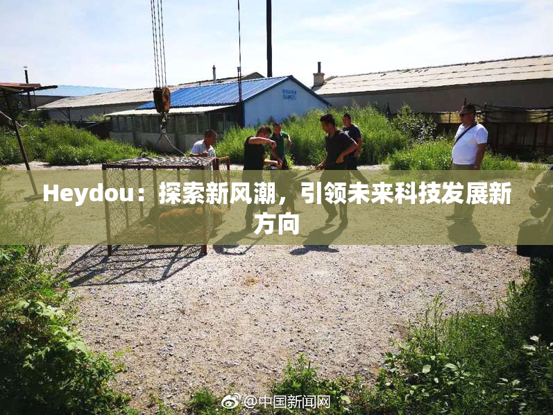 Heydou：探索新风潮，引领未来科技发展新方向