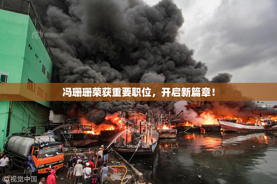 冯珊珊荣获重要职位，开启新篇章！