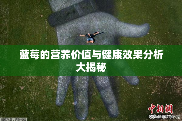 蓝莓的营养价值与健康效果分析大揭秘
