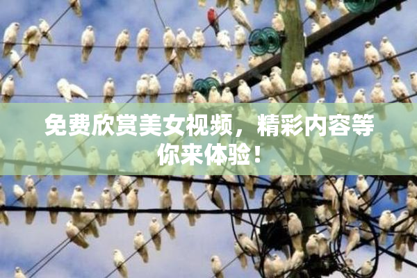 免费欣赏美女视频，精彩内容等你来体验！