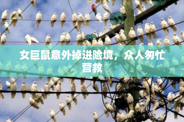 女巨鼠意外掉进险境，众人匆忙营救
