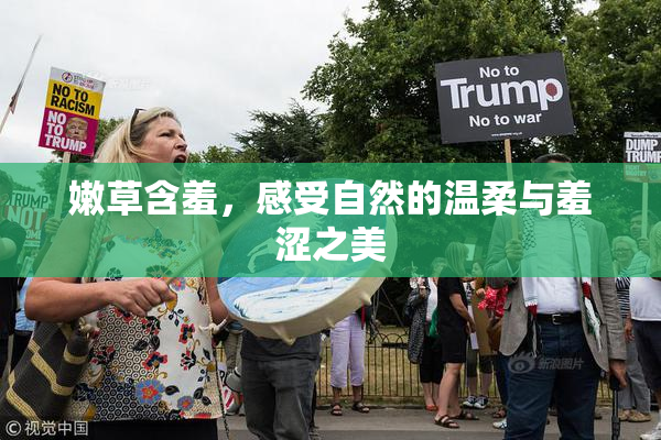 嫩草含羞，感受自然的温柔与羞涩之美