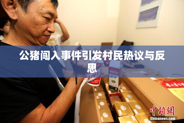 公猪闯入事件引发村民热议与反思