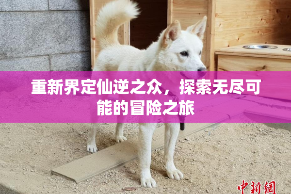 重新界定仙逆之众，探索无尽可能的冒险之旅