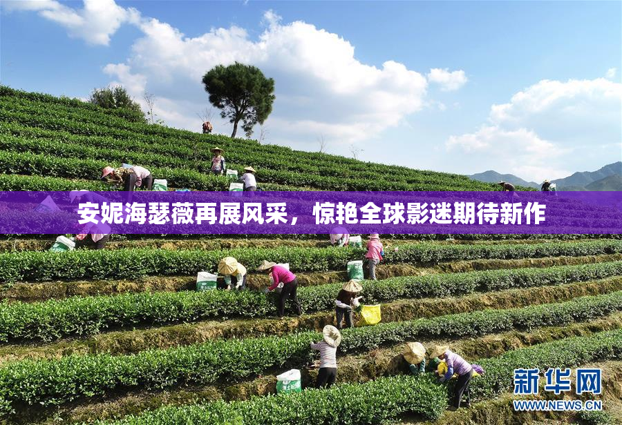 安妮海瑟薇再展风采，惊艳全球影迷期待新作