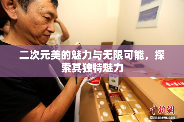 二次元美的魅力与无限可能，探索其独特魅力