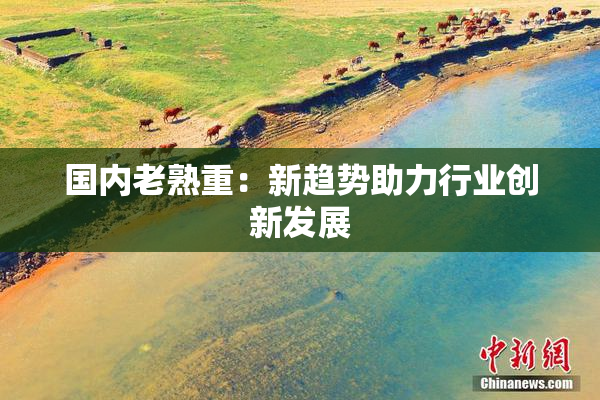 国内老熟重：新趋势助力行业创新发展