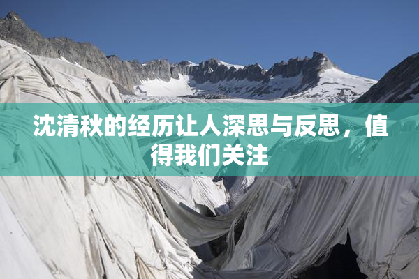 沈清秋的经历让人深思与反思，值得我们关注