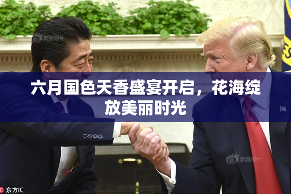 六月国色天香盛宴开启，花海绽放美丽时光