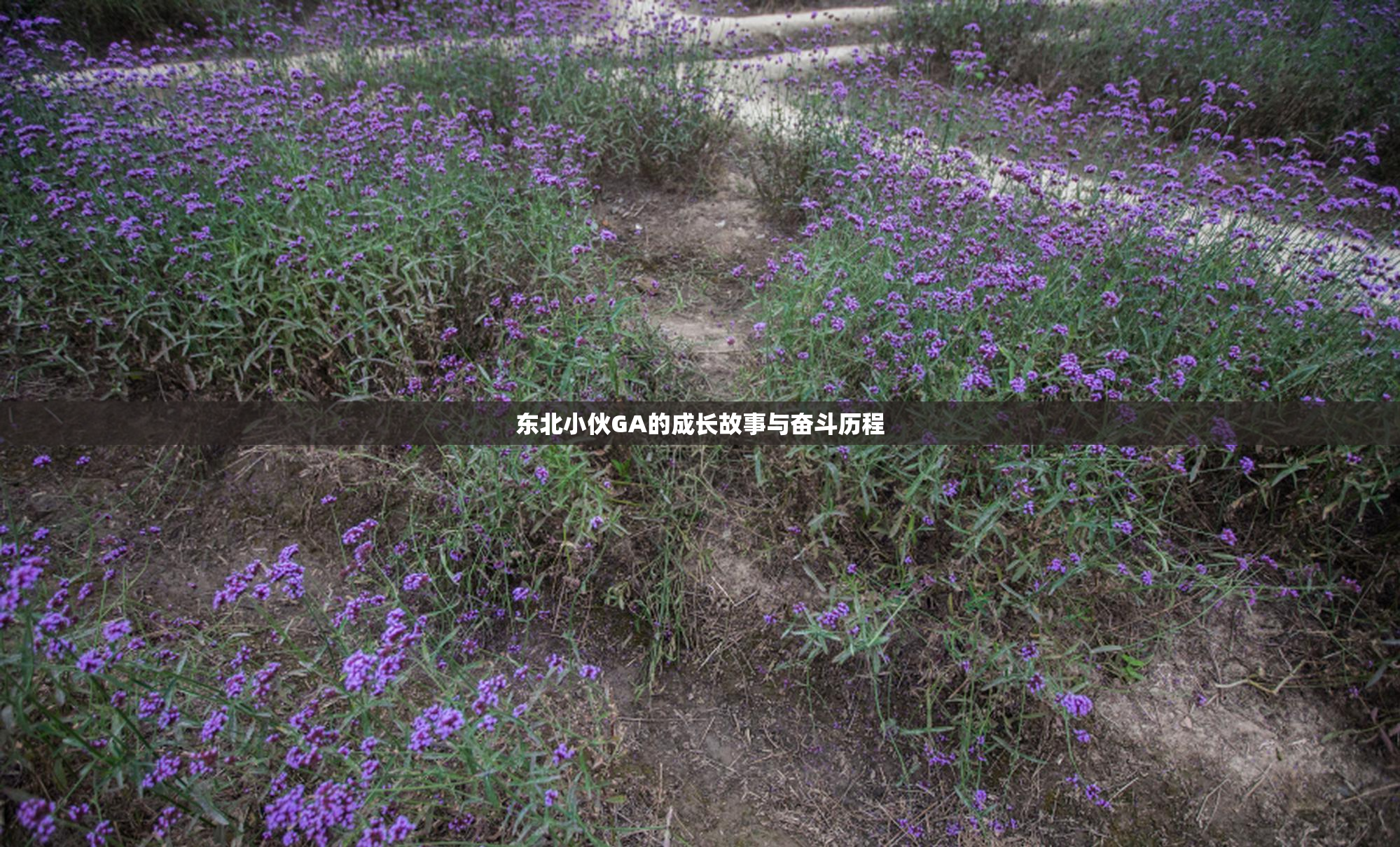 东北小伙GA的成长故事与奋斗历程