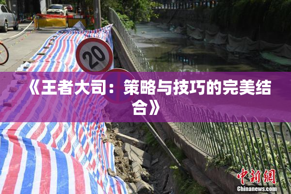 《王者大司：策略与技巧的完美结合》