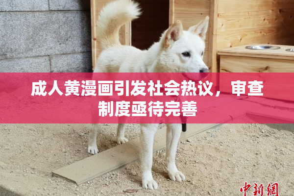 成人黄漫画引发社会热议，审查制度亟待完善