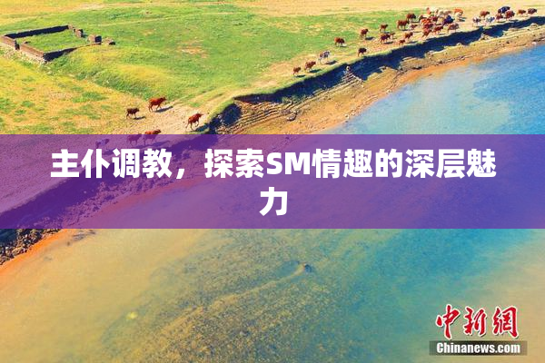 主仆调教，探索SM情趣的深层魅力
