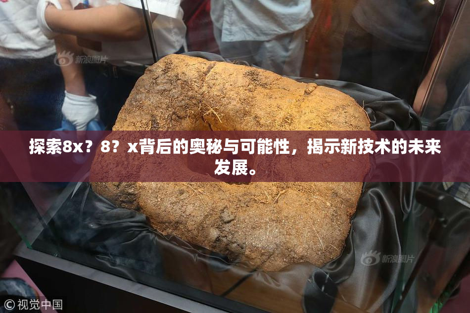 探索8x？8？x背后的奥秘与可能性，揭示新技术的未来发展。