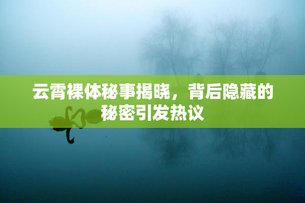 云霄裸体秘事揭晓，背后隐藏的秘密引发热议