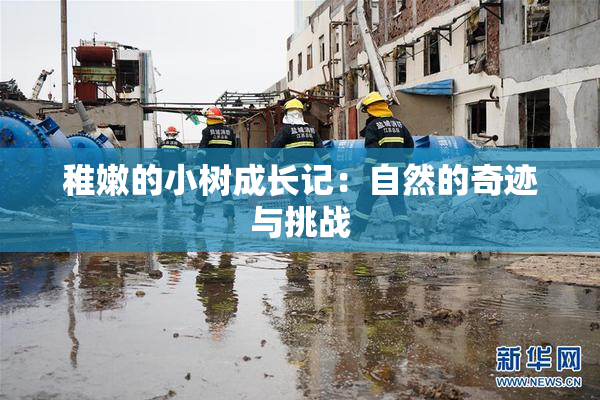 稚嫩的小树成长记：自然的奇迹与挑战