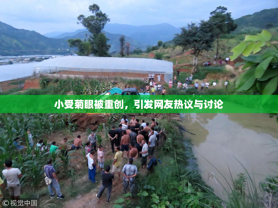 小受菊眼被重创，引发网友热议与讨论