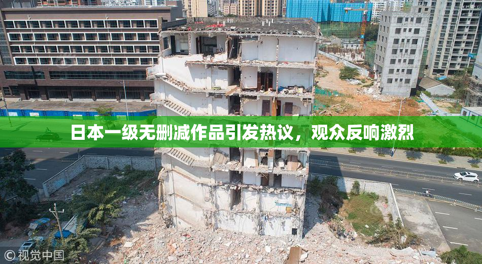 日本一级无删减作品引发热议，观众反响激烈
