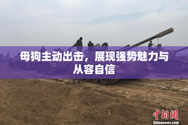 母狗主动出击，展现强势魅力与从容自信