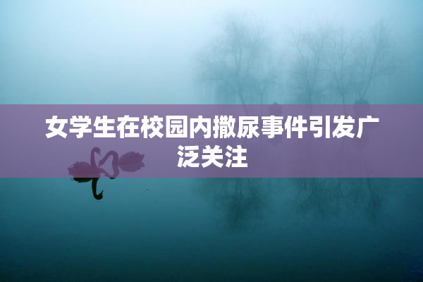 女学生在校园内撒尿事件引发广泛关注