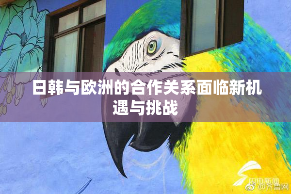 日韩与欧洲的合作关系面临新机遇与挑战