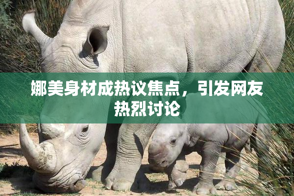 娜美身材成热议焦点，引发网友热烈讨论
