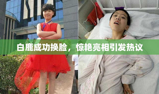白鹿成功换脸，惊艳亮相引发热议