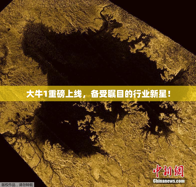 大牛1重磅上线，备受瞩目的行业新星！