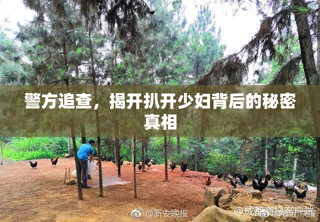 警方追查，揭开扒开少妇背后的秘密真相