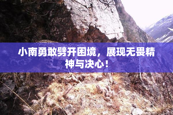 小南勇敢劈开困境，展现无畏精神与决心！