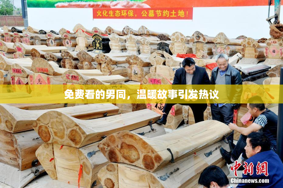 免费看的男同，温暖故事引发热议