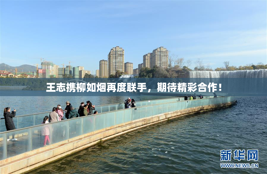 王志携柳如烟再度联手，期待精彩合作！