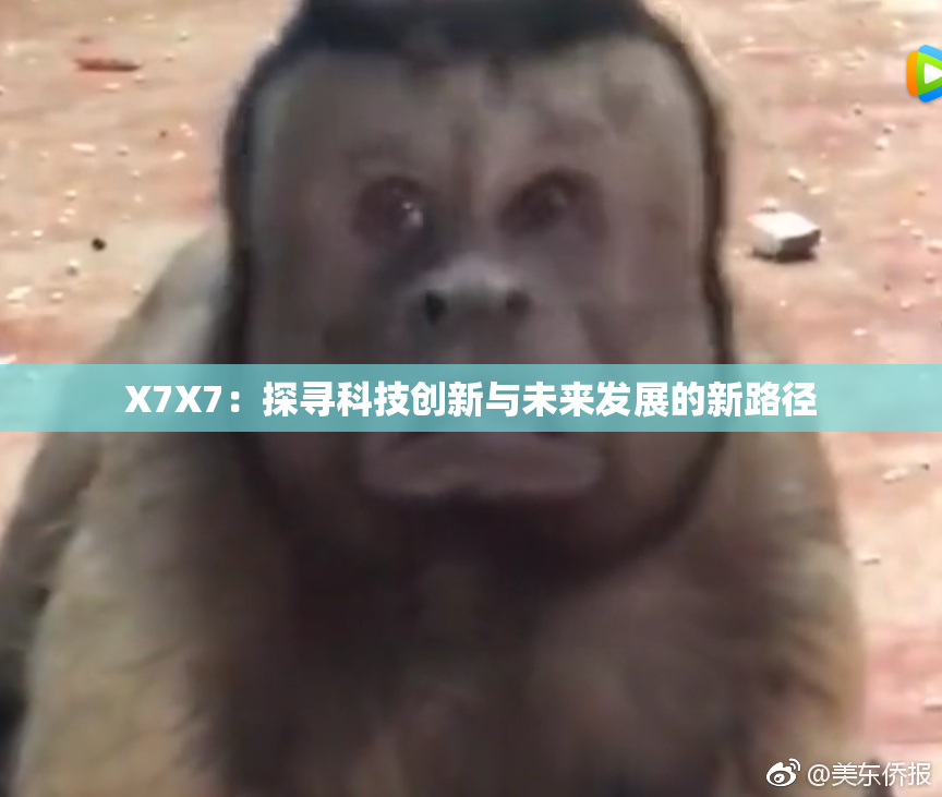 X7X7：探寻科技创新与未来发展的新路径