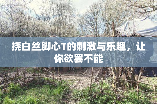 挠白丝脚心T的刺激与乐趣，让你欲罢不能