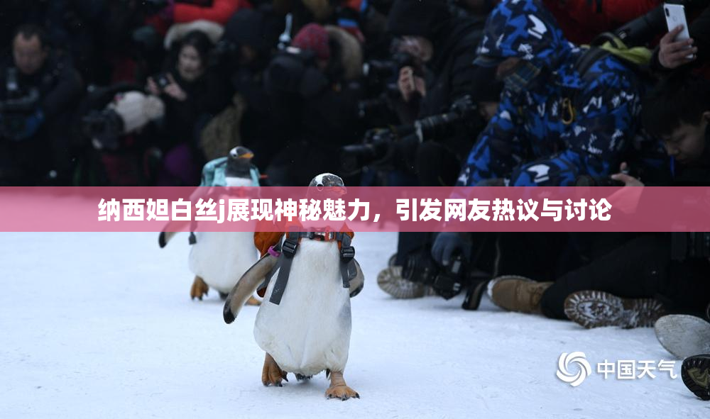 纳西妲白丝j展现神秘魅力，引发网友热议与讨论