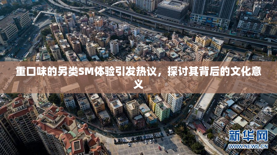 重口味的另类SM体验引发热议，探讨其背后的文化意义
