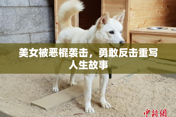 美女被恶棍袭击，勇敢反击重写人生故事