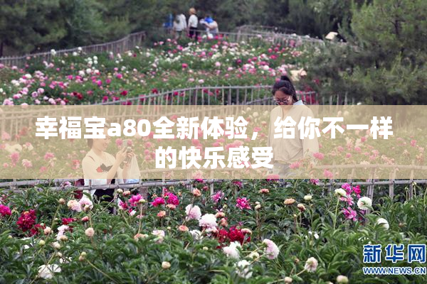 幸福宝a80全新体验，给你不一样的快乐感受