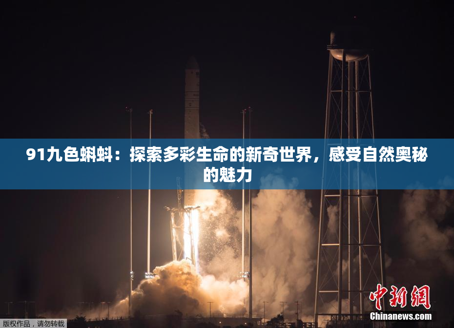 91九色蝌蚪：探索多彩生命的新奇世界，感受自然奥秘的魅力