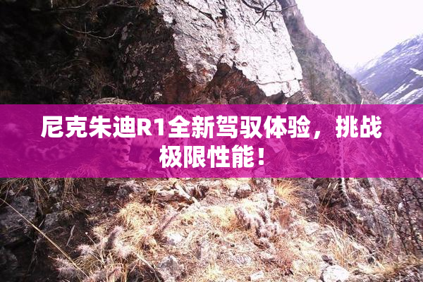 尼克朱迪R1全新驾驭体验，挑战极限性能！