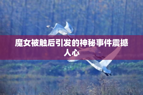 魔女被触后引发的神秘事件震撼人心